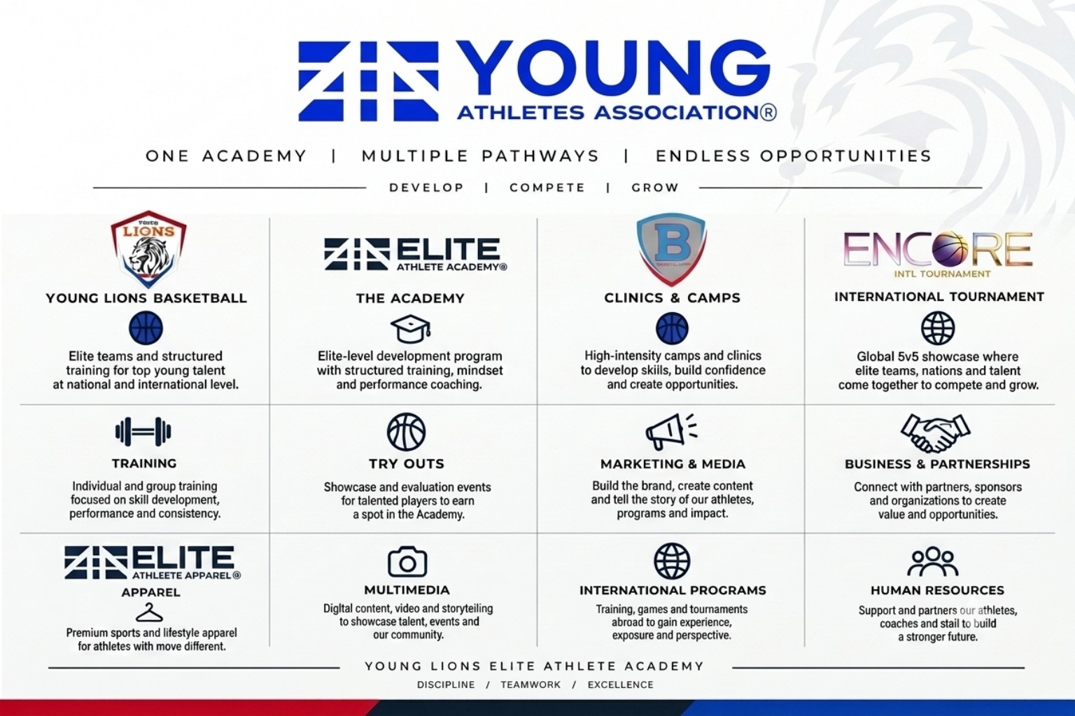 YAA overview: Young Lions Basketball, Academy, Clinics and Camps, ENCORE, Training, Tryouts, Marketing and Media, Partnerships, Apparel, Multimedia, International Programmes and Human Resources